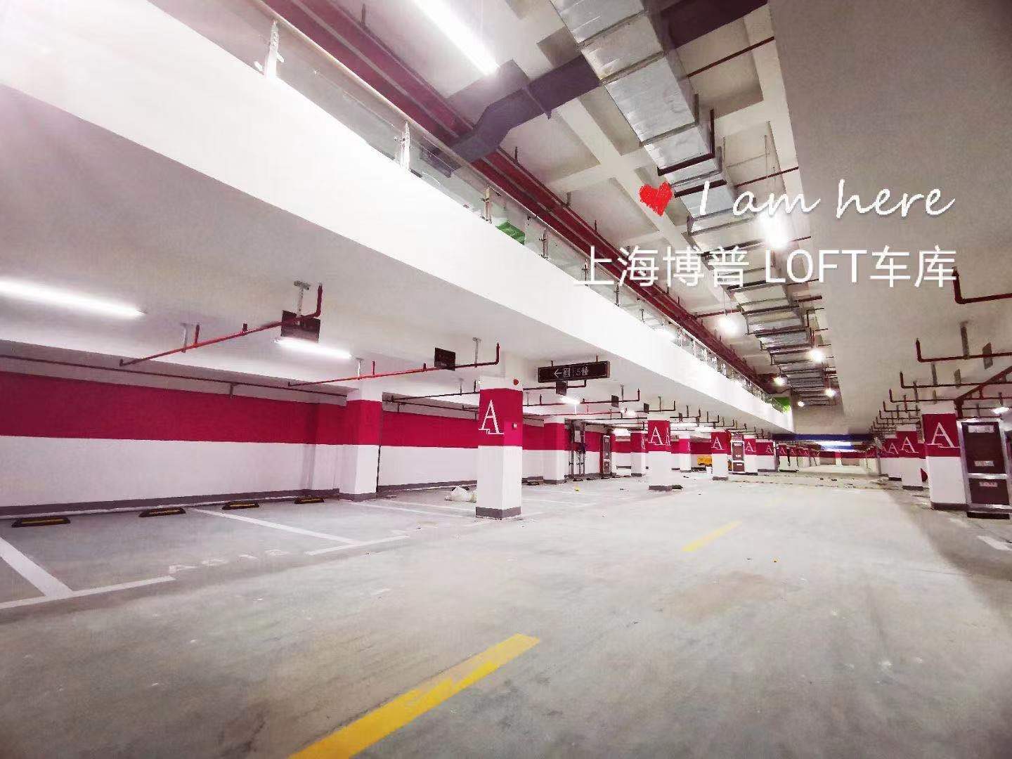 哈尔滨已交竣的绿城豪华LOFT专利车库效果惊艳！